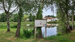 Parc de l'&eacute;tang